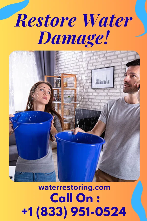 water restoration Eagle Damage Recovery Inc Clinton