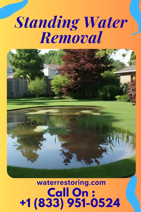 Standing Water Removal in Clinton, NY